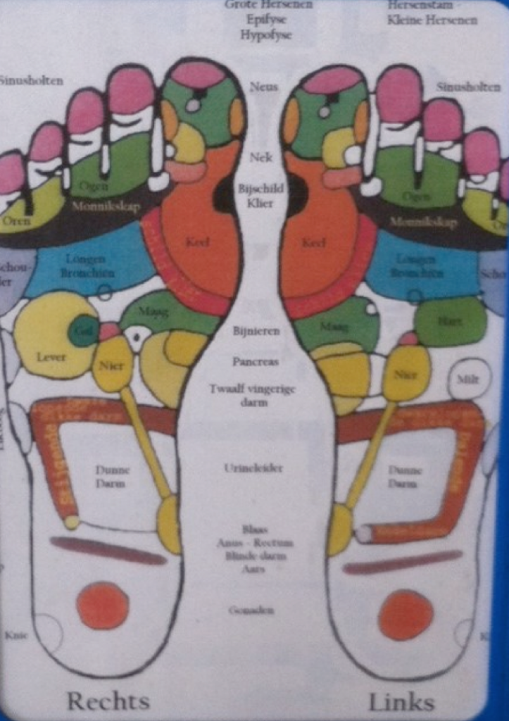 voetreflex-overview